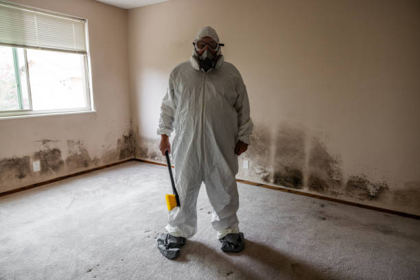 Mold Testing and Removal in Attica, IN